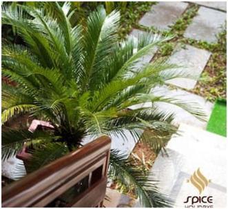 ホテルSpice Holidays Kochi エクステリア 写真